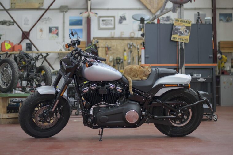 Harley Davidson Softail Fat Bob 114 detalles 3