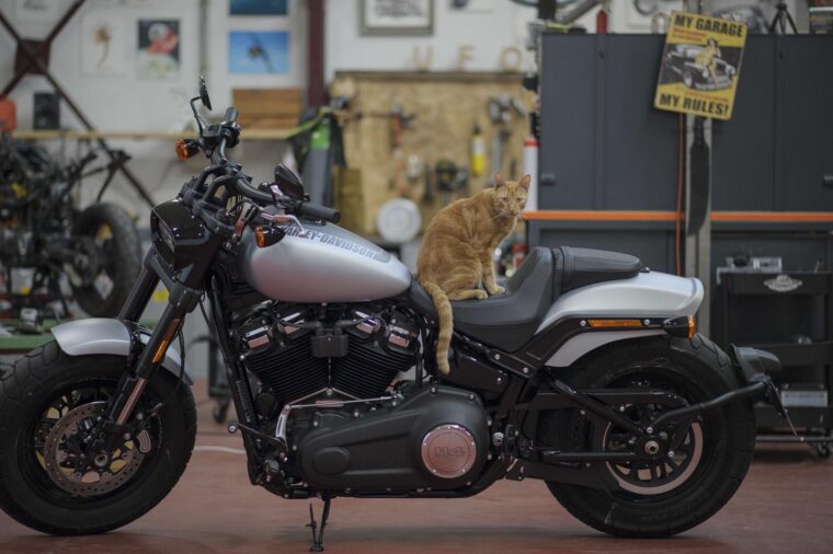 Harley-Davidson-Softail-Fat-Bob-114-detalles-4