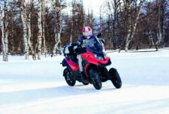 Qooder kit invierno (1)