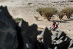 Dakar 2021 fotos etapa 5 (37)