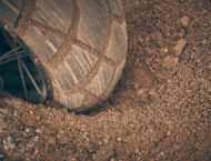 Prueba Honda X-ADV 2021: Más fácil y más divertida 58 Honda X ADV 2021 Prueba4