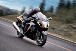Suzuki Hayabusa 2021 (21)