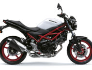 Suzuki SV650 2021