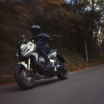 Carnet por puntos: Algunas sanciones y multas más duras desde 2021