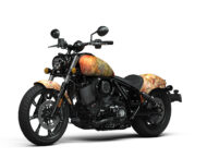 Indian Chief Shige (13)