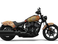 Indian Chief Shige (18)