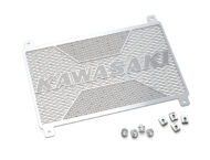 Kawasaki Z900RS SE 2022 (3)