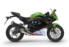Kawasaki Ninja 125 2022