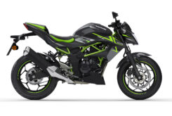 Kawasaki Z125 2022
