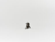 Royal Enfield pone rumbo al Polo Sur en su próxima aventura 4 Royal Enfield Polo Sur previo 21