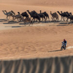 Joan Lascorz, en el Dakar 2022: ¡Colabora con su aventura! 2 Dakar 2022: Recorrido y fechas de la 44ª edición