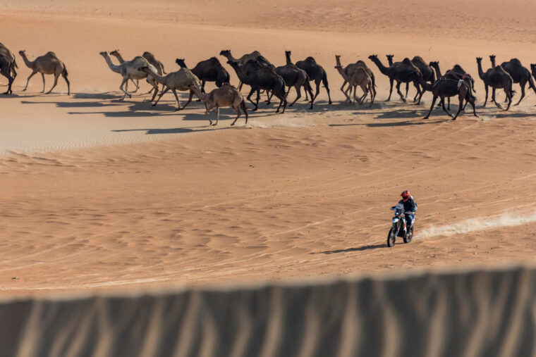 dakar-2022-fechas-recorridos