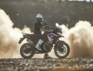 edgar torronteras voge dsx 650 (1)