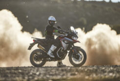 edgar torronteras voge dsx 650 (1)