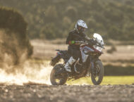 edgar torronteras voge dsx 650 (3)