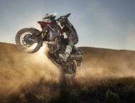 edgar torronteras voge dsx 650 (7)