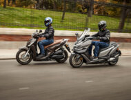 Chaqueta Seventy Degrees SD-JR69 2 Seventy Degrees SD JR69 (1)