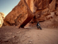 Triumph Tiger 1200 Rally Pro 2022 16