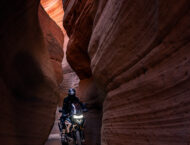 Triumph Tiger 1200 Rally Pro 2022 22