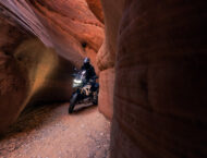 Triumph Tiger 1200 Rally Pro 2022 23