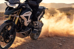 Triumph Tiger 1200 Rally Pro 2022 8