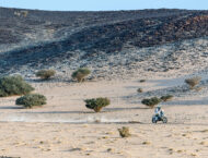 Dakar 2022 etapa 9 mejores fotos (15)