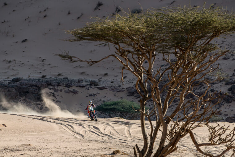 Dakar-2022-etapa-9_mejores-fotos (30)