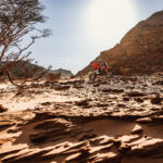 Especial Dakar 2022: toda la información 12 Fotos Dakar 2022: Las mejores imágenes de la novena etapa