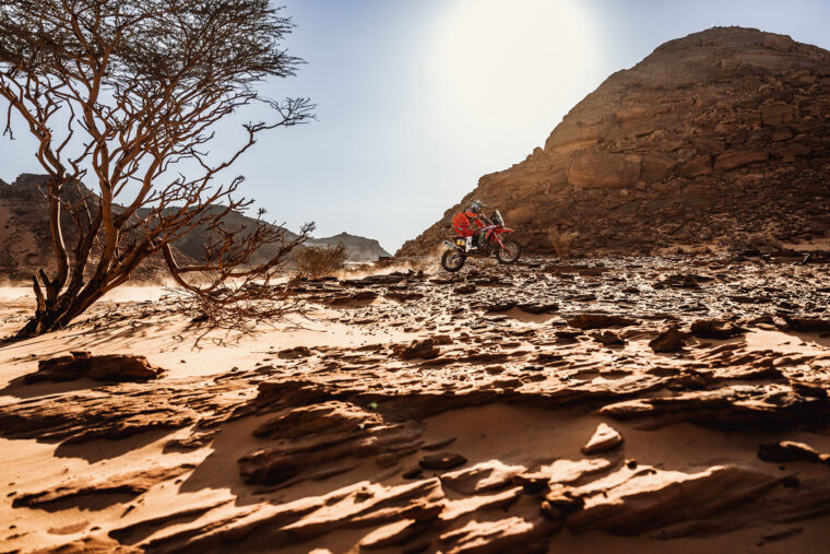 Dakar-2022-etapa-9_mejores-fotos (7)