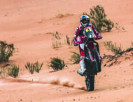 daniel sanders Dakar Rally 2022 (1)