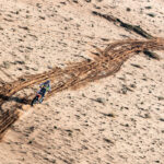 Especial Dakar 2022: toda la información 29 Fotos Dakar 2022: Las mejores imágenes de la tercera etapa