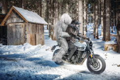 Brixton Crossfire 500 YETI promo