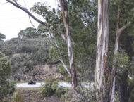 Triumph Tiger 1200 GT/Rally 2022: Prueba a fondo de la familia maxi-trail británica 51 Triumph Tiger 1200 GT Rally 2022 Prueba 11