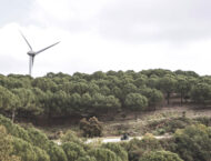 Triumph Tiger 1200 GT/Rally 2022: Prueba a fondo de la familia maxi-trail británica 45 Triumph Tiger 1200 GT Rally 2022 Prueba 39