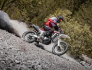 Fantic XEF450 2023 accion5