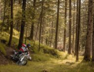 Fantic XEF450 2023 accion7