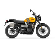 Triumph presenta sus nuevos colores para 2024 10 Triumph Scrambler 900 2024 (1)