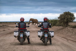 Ducati Multistrada V4 Rally 2023 accion86