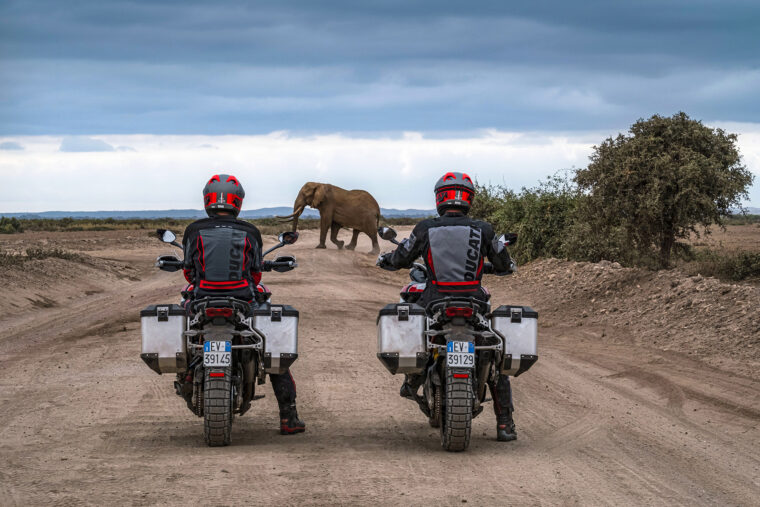 Ducati-Multistrada-V4-Rally-2023-accion - 86