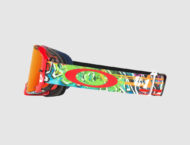 Oakley Airbrake MX Goggles (8)
