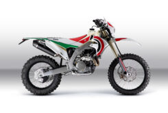 Bimota BX450 2023