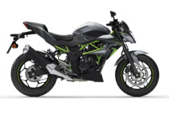 Kawasaki Z125 2024