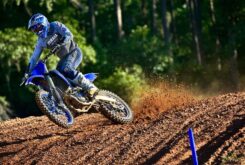 Yamaha YZ250F EU Icon Blue Action 006 03