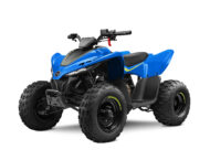 CFMoto CForce 110 2023 11