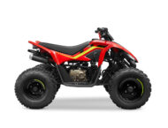 CFMoto CForce 110 2023 14