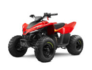 CFMoto CForce 110 2023 15
