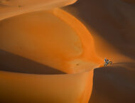 Fotos Dakar 2023 penultima etapa (22)