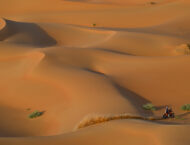 Fotos Dakar 2023 penultima etapa (44)