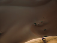 Fotos Dakar 2023 penultima etapa (7)