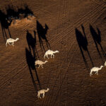 Fotos Dakar 2023: Las mejores imágenes de la sexta etapa